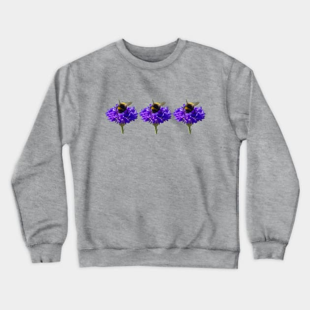 Three Cornflower with Bumblebee Floral Photos Crewneck Sweatshirt by ellenhenryart